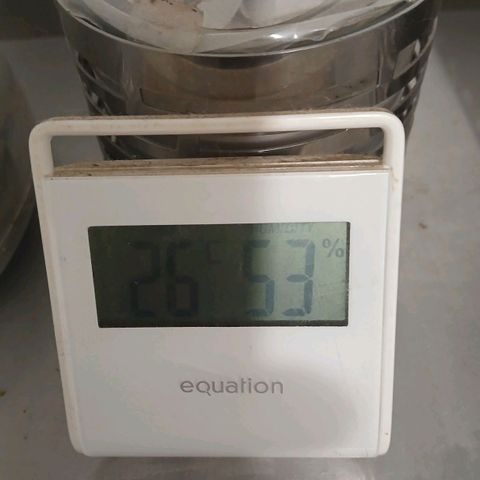 AMNÉSIA growlog timeline photo