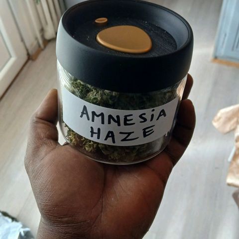 AMNÉSIA growlog photo: Allez GO pour minimum 3 semaine de maturation 