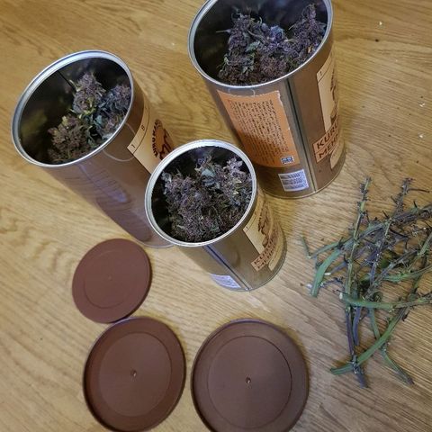 C4-Matic growlog timeline photo