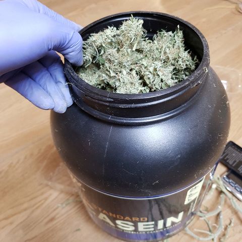 Northern Light Automatic growlog timeline photo