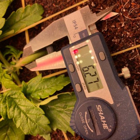 Niagara growlog timeline photo