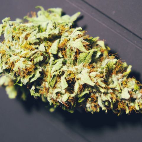 Niagara growlog timeline photo