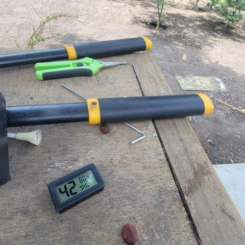 Plant 5: "Hella Jelly" growlog photo: 70°F / 60% humidity on weather app
80°F / 42% humidity on hygrometer 
