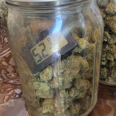 Plant 5: "Hella Jelly" growlog photo: Crank trimmed 52% no boveda