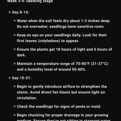 005: "Azul" growlog photo: Guideline notes