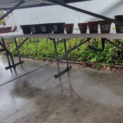 005: "Azul" growlog photo: Strong storm. No where else to put them
