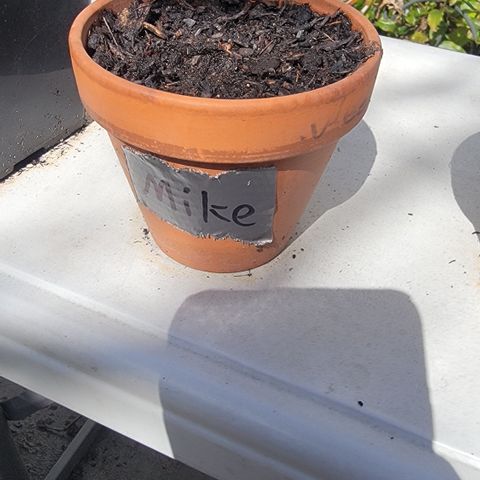 004: "Mike #1 (Left Seed)" growlog timeline photo
