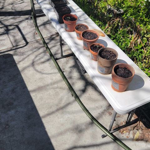 005: "Azul" growlog timeline photo