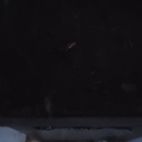 008: "Hella Jelly P5 #2"  growlog photo: 7:49pm
No flash, phone battery low 
Seed still germinating