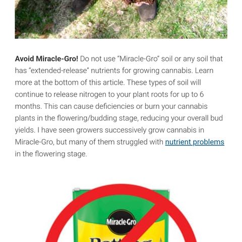 005: "Azul" growlog photo: Shouldn't use miracle gro?