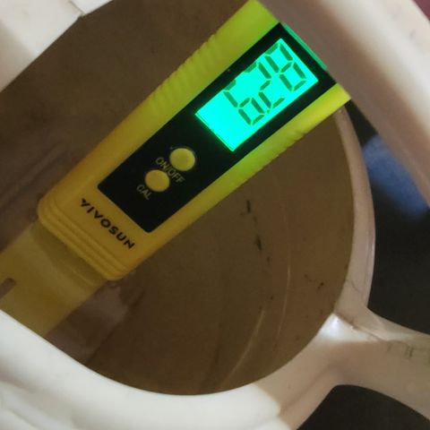 005: "Azul" growlog photo: Used pH meter to measure water solution until it reached in between 6-6.8 pH

1. Fill up container with sink water (~8-9 pH)
2. Add fox farm big bloom (1tsp)
3. Add couple drops lemon juice (1/4th tsp)
4. Stir until pH reaches 6-6.8 pH