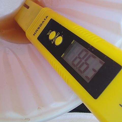 008: "Hella Jelly P5 #2"  growlog photo: pH: 8.6
TDS: 569PPM