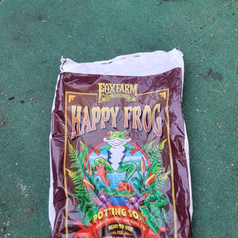 005: "Azul" growlog photo: Happy frog transplanting soil came in. 
Preparing plants for transplanting into 7gal grow bags