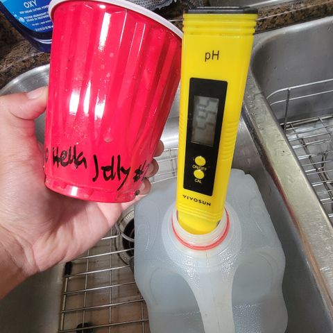 010: "OG Hella Jelly #2" growlog photo: 1 gal water going in: 5.95 pH