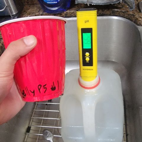 007: "Hella Jelly P5 #1" or AZUL?? growlog photo: 1 gal water going in: 6.62 pH