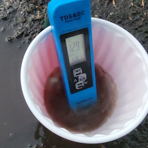 007: "Hella Jelly P5 #1" or AZUL?? growlog photo: Flushed with 5 gallons
Tds is still 1291