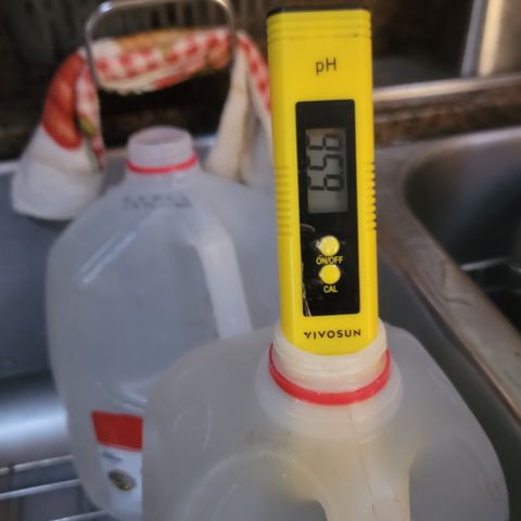 007: "Hella Jelly P5 #1" or AZUL?? growlog photo: Flushed with 5 gallons
Tds is still 1291