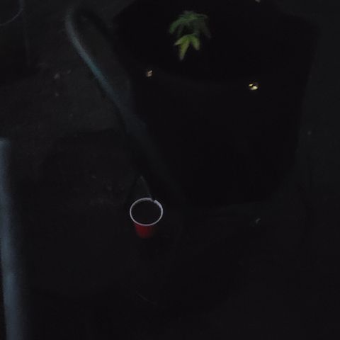 007: "Hella Jelly P5 #1" or AZUL?? growlog photo: Added 6th gallon and measured tds
As of 10:34pm
pH is 6.88
TDS 1064ppm