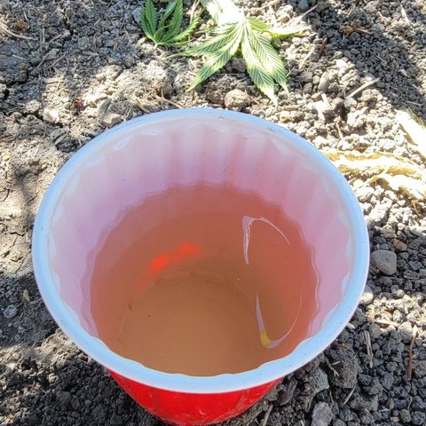 009: "OG Hella Jelly #1" growlog timeline photo