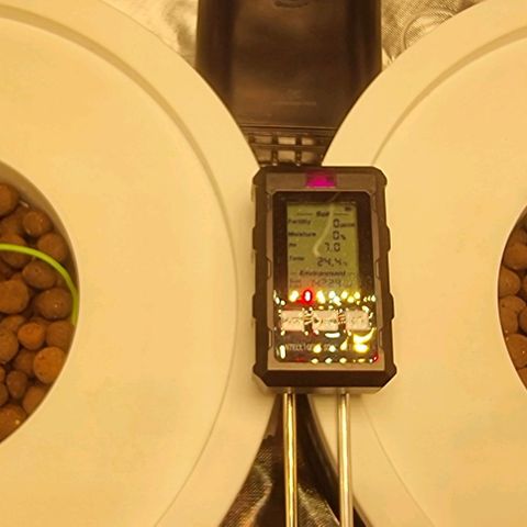 Fruit Spirit growlog timeline photo