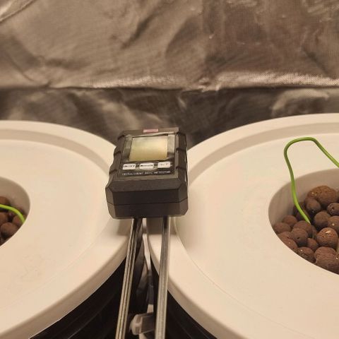 Fruit Spirit growlog timeline photo