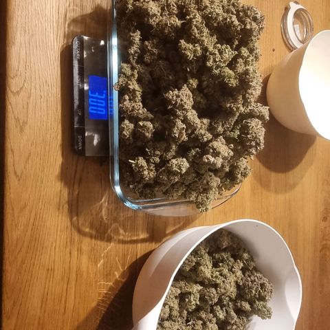 Fruit Spirit growlog photo: 521 Gramm