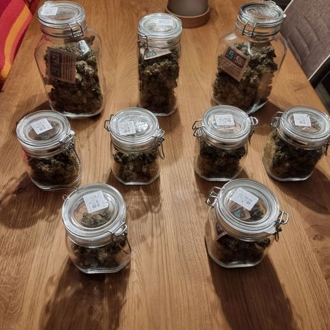 Fruit Spirit growlog photo: 521 Gramm