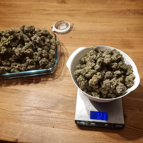 Fruit Spirit growlog photo: 521 Gramm