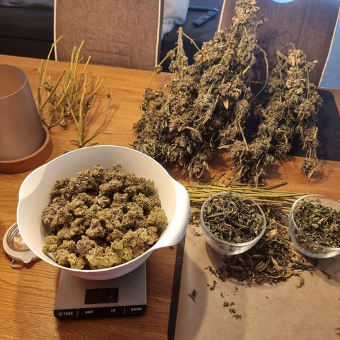 Fruit Spirit growlog photo: 521 Gramm
