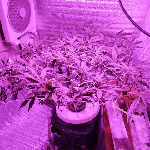 212 growlog timeline photo