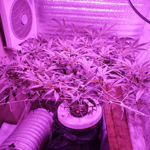 212 growlog timeline photo