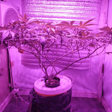212 growlog timeline photo