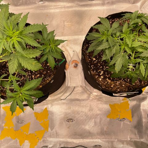 WeKraine growlog photo: A lil LST 