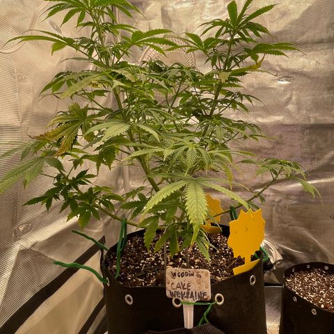 WeKraine growlog photo: Taking a while 