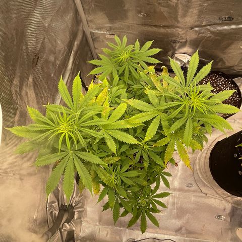 WeKraine growlog photo: Taking a while 