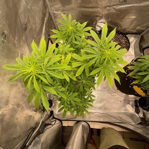 WeKraine growlog photo: Phd water 