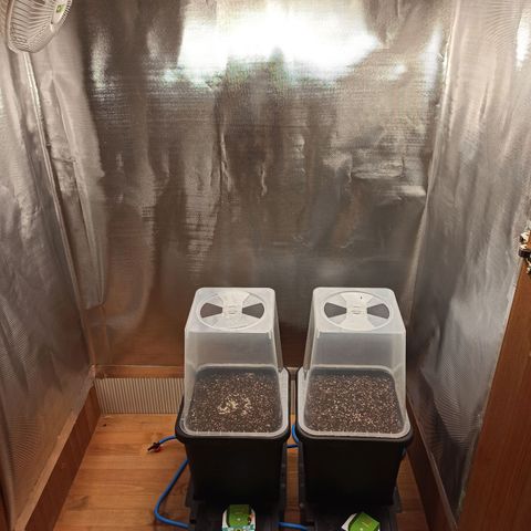 RQS Northern Light auto growlog timeline photo