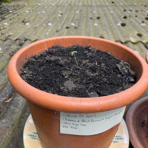 Filzmoos growlog photo: Erster Tag draußen 