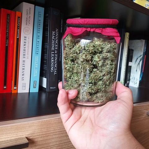Semilla del Veci growlog photo: Cosecha