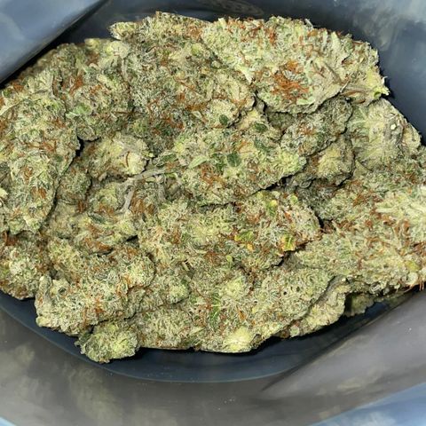 Purple Nanners’ - FastBuds Autoflowers #1 growlog photo: Some of the trimmed bud from this plant
