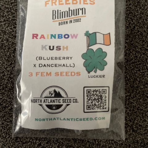 RK #1 growlog photo