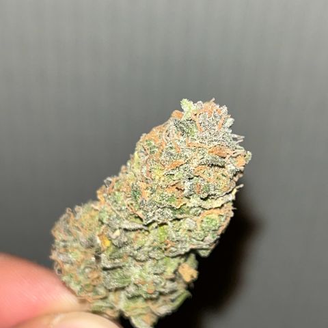 Blue Cheese RQS growlog timeline photo