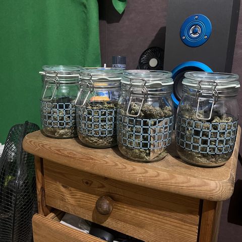 Blue Cheese RQS growlog timeline photo