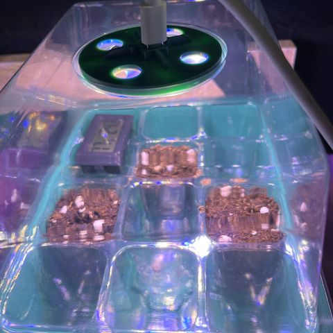 Titan F1 Hybride [RQS]x1 growlog timeline photo