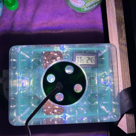 Titan F1 Hybride [RQS]x1 growlog timeline photo