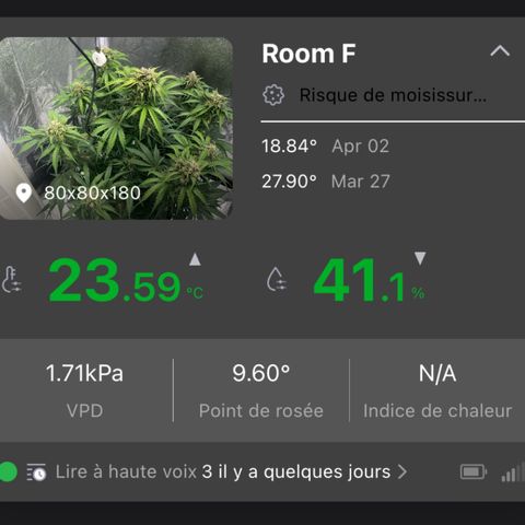 Wedding cake auto RQS growlog timeline photo