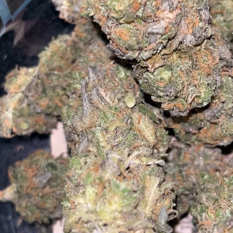 Blue Cheese RQS growlog timeline photo