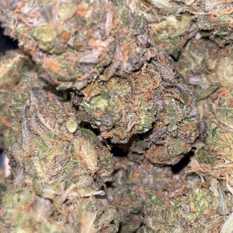 Blue Cheese RQS growlog timeline photo