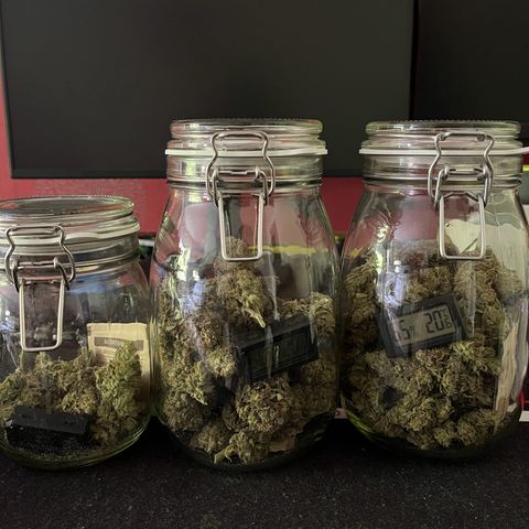Wedding cake auto RQS growlog timeline photo