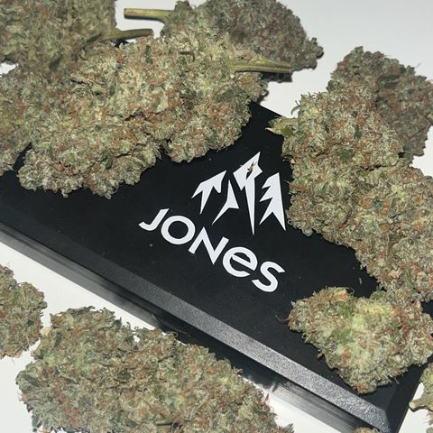 Royal AK Auto [RQS] x3 growlog timeline photo